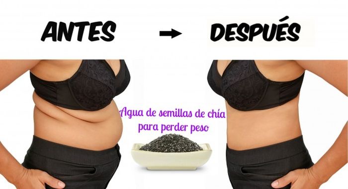 Cómo Preparar Agua de Semillas de Chía Para Perder Peso Cómo Preparar Agua de Semillas de Chía Para Perder Peso
