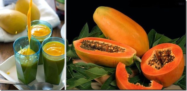 papaya para intestinos